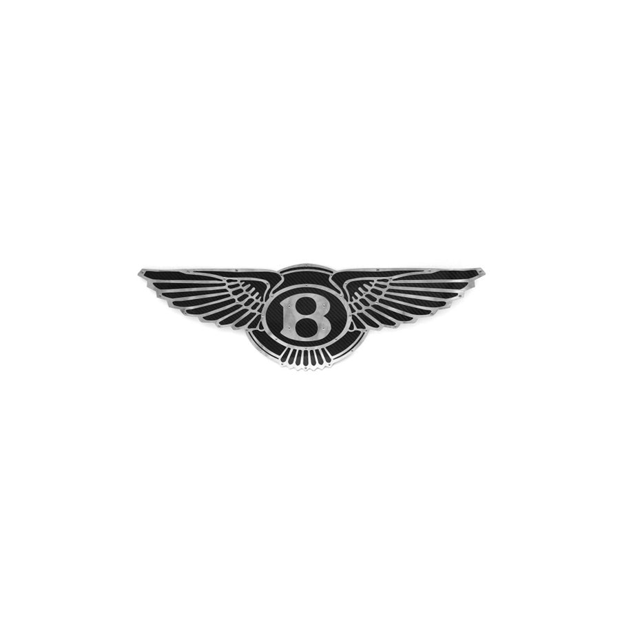 Fabspeed Carbon Fiber Wall Art - Bentley | Supercar Parts UK