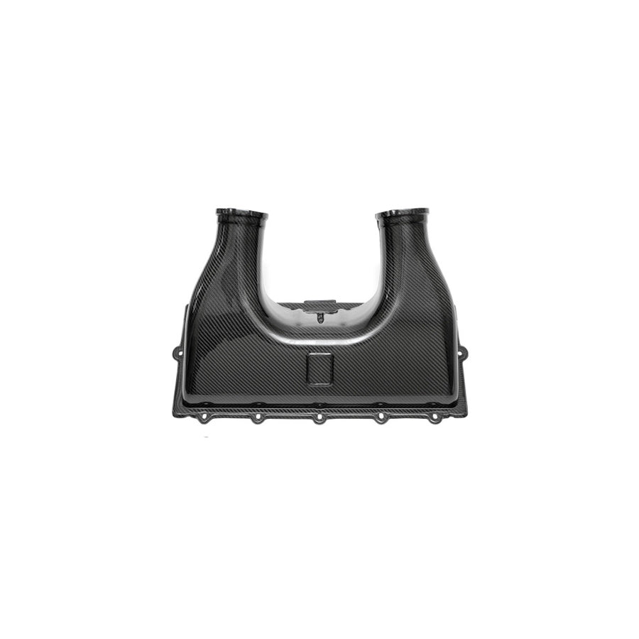 Fabspeed Ferrari 458 Italia Carbon Fiber Airbox Cover (2010-2015) | Supercar Parts UK