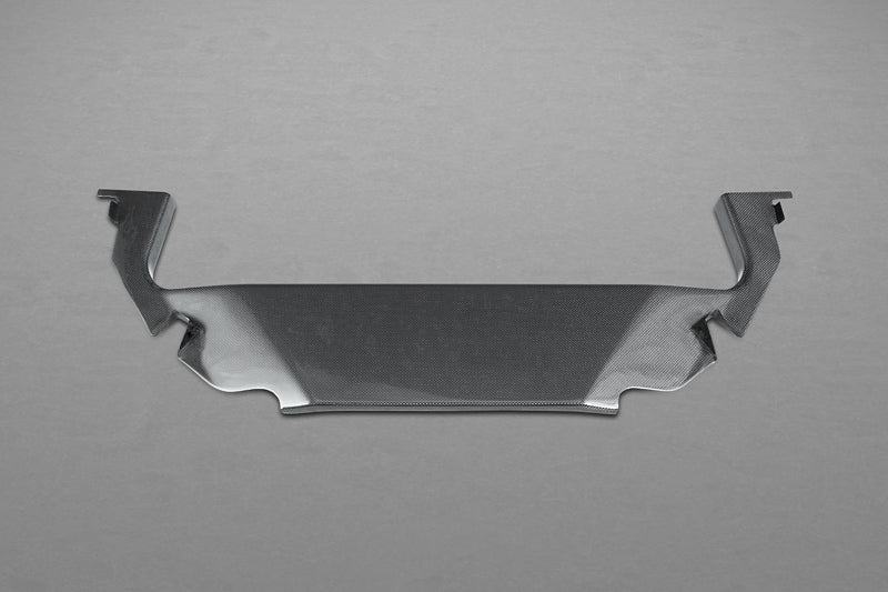 Capristo 03FE00410009LG Ferrari 458 Italia/Speciale Carbon Side Engine Compartment Covers 